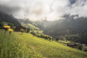 Ferienwohnung Alpbachtal Radfeld